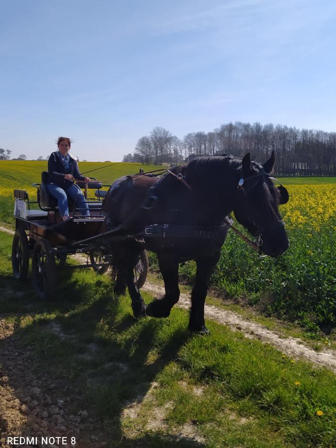 Veritable Roulotte Hippomobile "La Bailleul" Mentheville Екстериор снимка